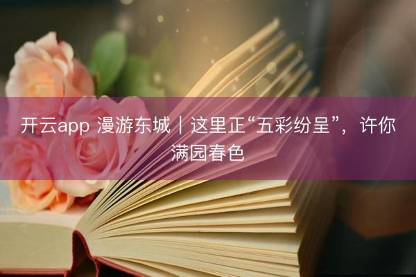 开云app 漫游东城｜这里正“五彩纷呈”，许你满园春色