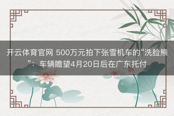 开云体育官网 500万元拍下张雪机车的“洗脸熊”:车辆瞻望4月20日后在广东托付