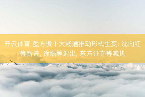 开云体育 盈方微十大畅通推动形式生变: 沈向红等新进， 徐磊等退出， 东方证券等减执