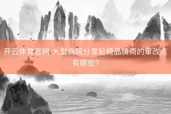 开云体育官网 大型病院分享轮椅品牌商的窜改点有哪些？
